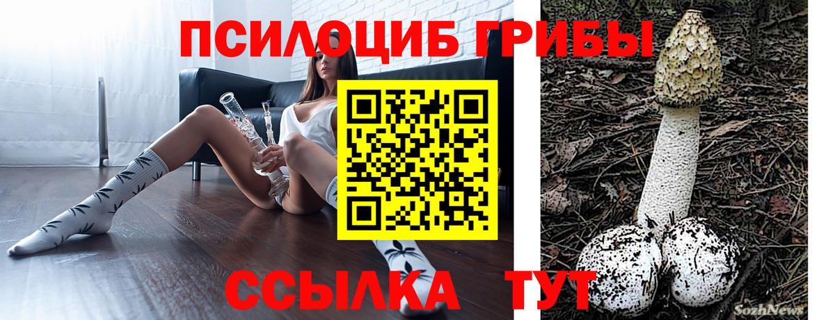 Псилоцибиновые грибы мухоморы Электросталь