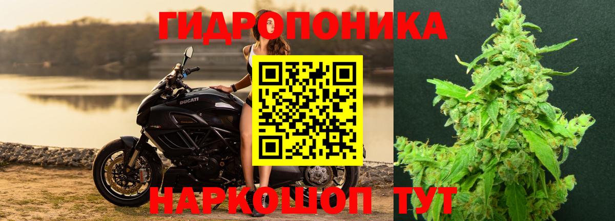 МАРИХУАНА конопля  Вход с VPN  Электросталь  Бошки Шишки тримм 